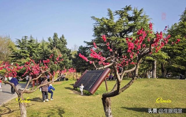 影记 | 春色春景之青州范公亭(上)