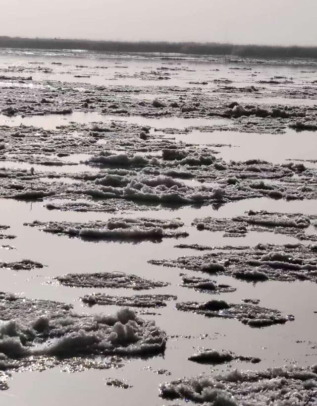 今天，包头黄河观凌季启动仪式在天下黄河第一村盛大举行。