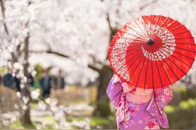 为什么很多去日本旅游的人，都不发朋友圈？问了才知道真实的原因图片