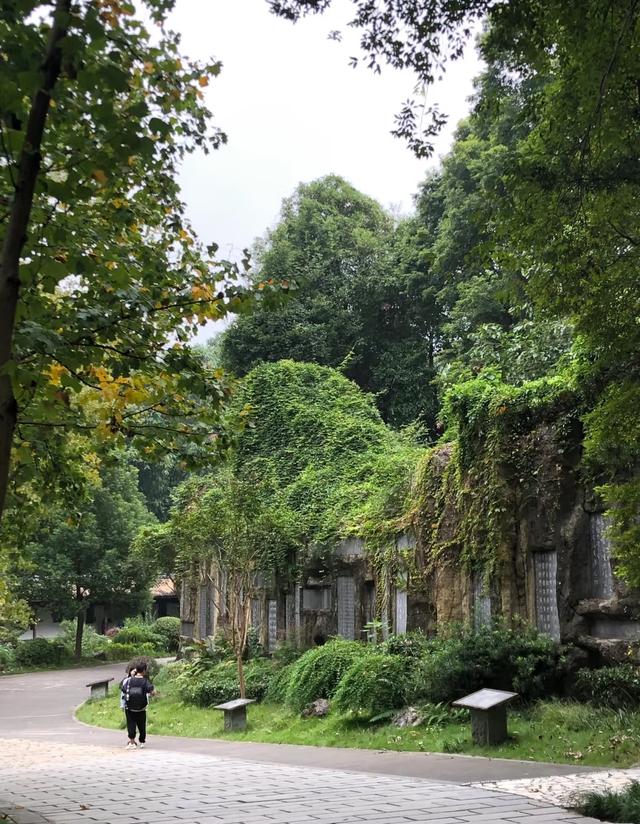 我是陕西人，刚陪成都朋友逛完渝蓉，这几处差异和感受想说说。