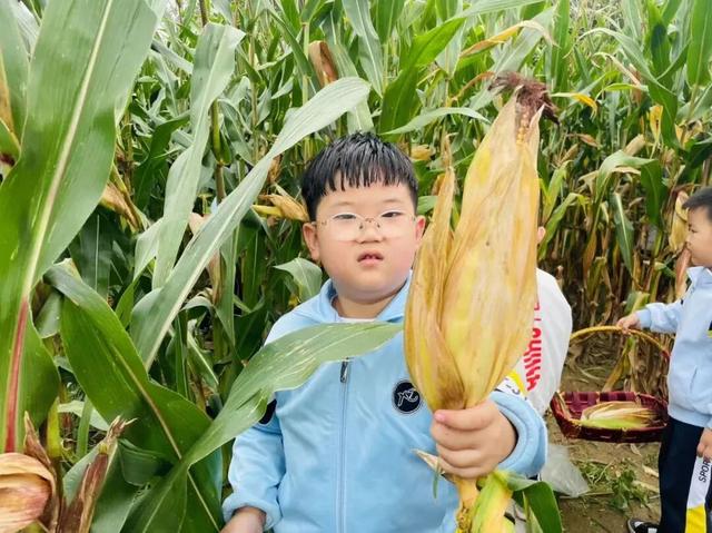 金秋十月 石楼有约 | 音乐节/篝火夜/农趣赛…60+玩法承包你的国庆假期​