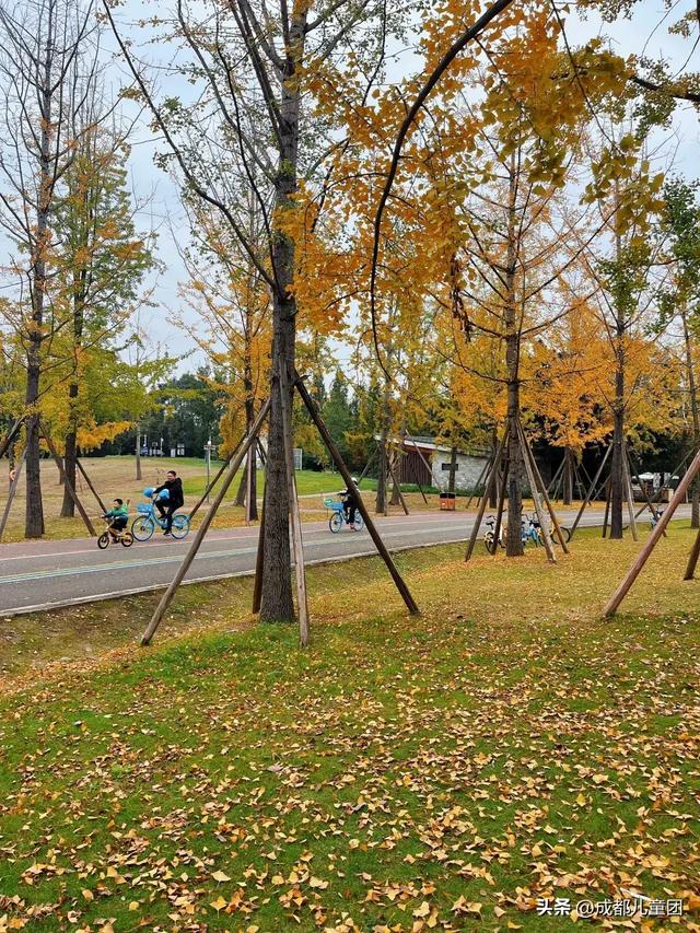 成都公园地图丨晒太阳不打挤的20个公园，东南西北全覆盖