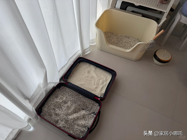 “旧行李箱”别扔！打开思路换一种方式用，立马变值钱，太实用了