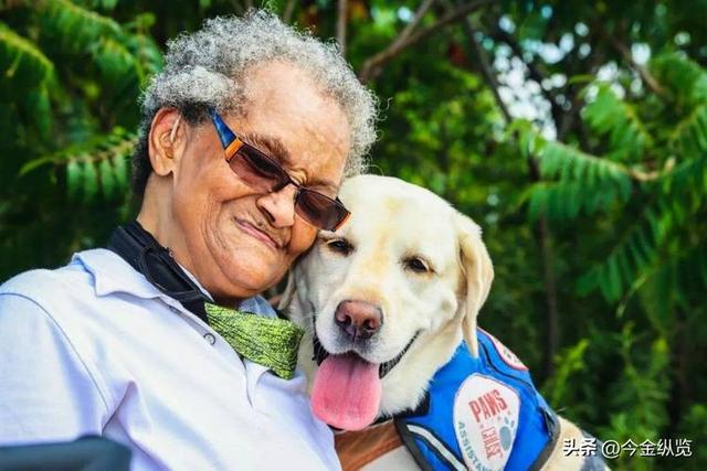 烤肉店禁狗，自助餐却爆火？宠物经济狂飙，人性的“情感代偿”！