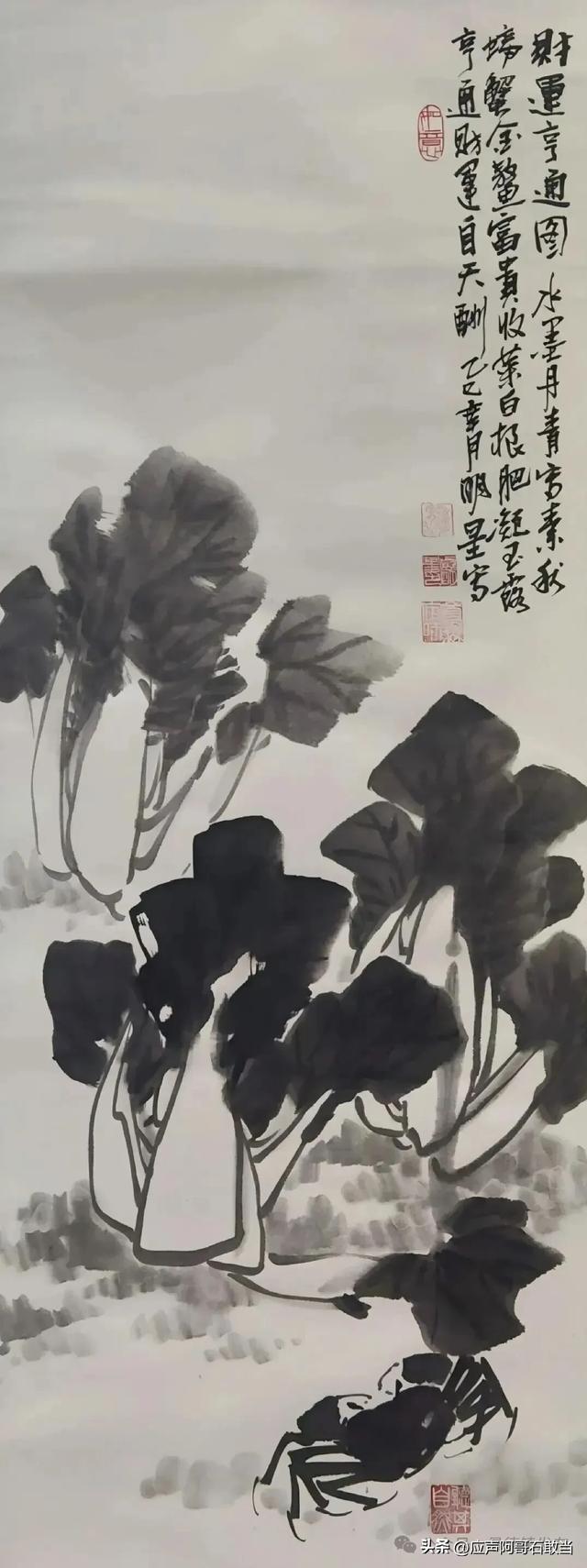 元旦将至！景德镇这些精彩活动等你来！