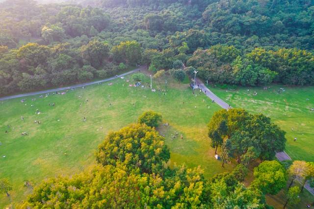 【深圳人私藏的“桃花源”被我曝光了】莲花山公园遛娃赏花全攻略