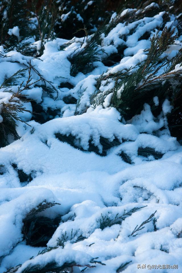 晨晓微曦的雪棱光