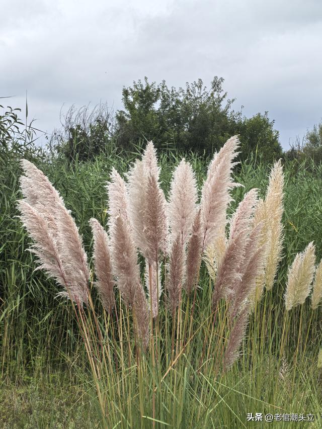 冬天的早上 晒着太阳从大观楼徒步到西山茶马花街 是什么样的感受？
