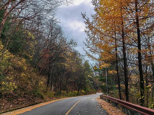 2024深秋四川行19 神农架风景区2 华中屋脊的五彩秘境