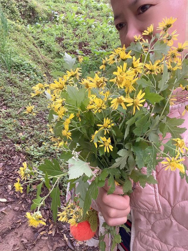 走出去,能带来好运吗?