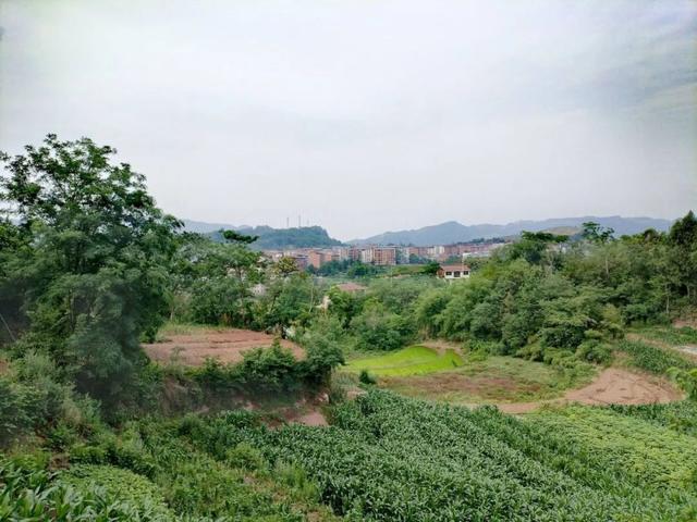 从蒲家场到大成寨，跨越宣（汉）通（川）边界
