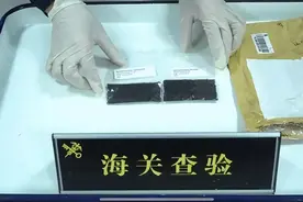 海关查获！暂无中文名称图片