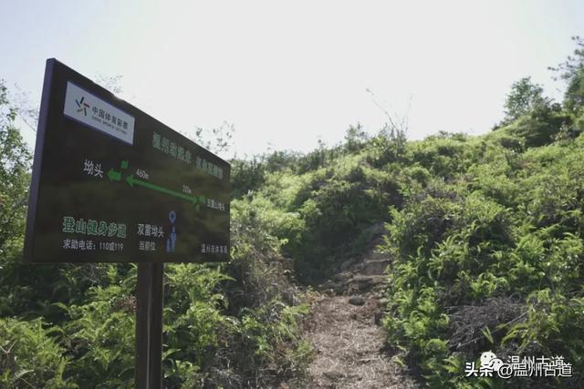 楠溪江这个冷门的秀美村庄,秘藏着一条风光旖旎的小众古道