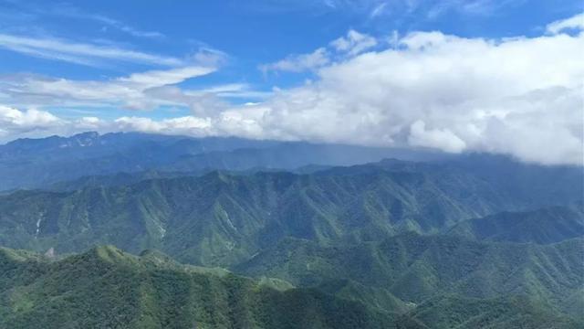 山入潼关不解平