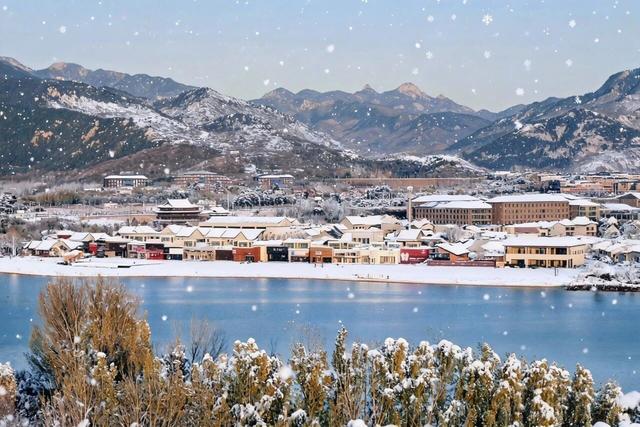 2026“马”年免费福利、吃临沂炒鸡送门票、年卡……千万别错过！