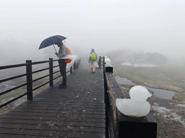 还在下！昆明轿子山今天这场大雪，根本停不下来！云南多地降温降雨来袭