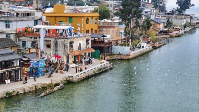 旅居，为什么是云南？498万人的现实选择