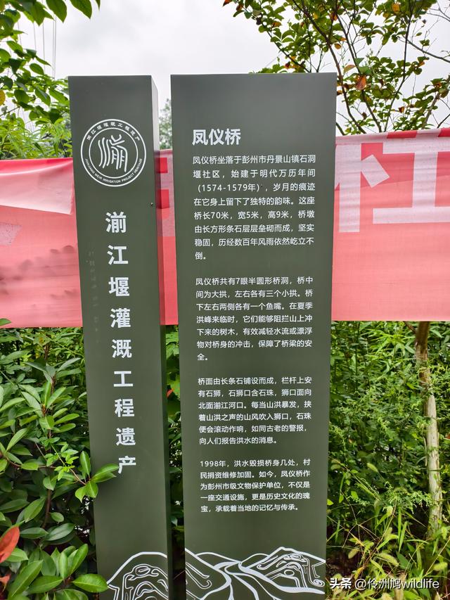 成都徒步（69）·彭州篇⑯法藏寺环线（桥断未走通）