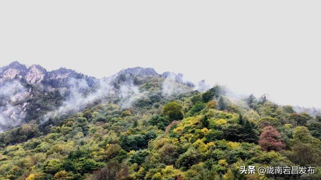 烟雨官鹅：国庆里的一轴流动水墨