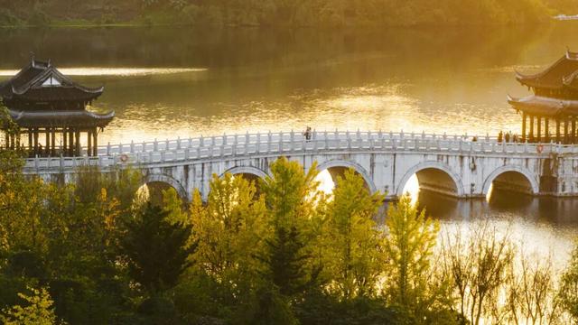 重庆园博园美出新高度！随手一拍都超超超出片→