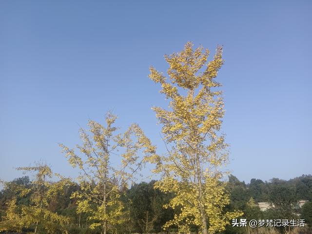 我妈安排的事是我支持的我就会满心欢喜地去做，不支持的就很反感