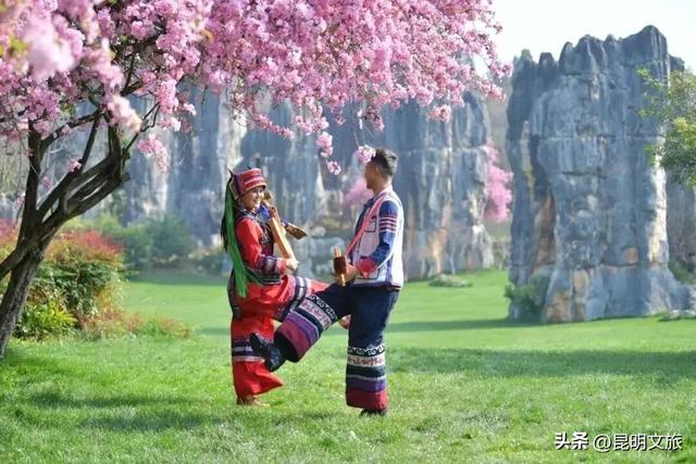 国庆充电选昆明丨超500项活动嗨玩不重样，一起买买鲜花看看云