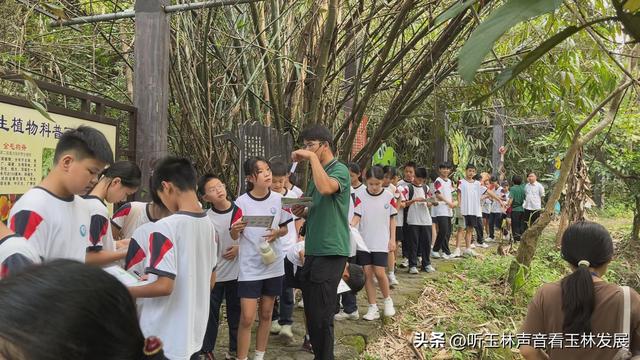 北流容心谷“探索自然之美，传诵诗韵风雅”主题研学活动广受好评