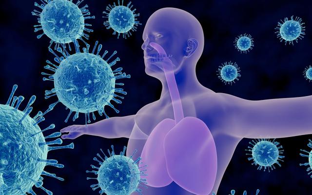 甲流的祸首被查出，海鲜没上榜，第1名大家或许每天都在接触！