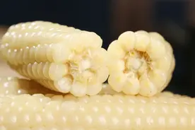 这4种“粗粮”可能正在悄悄伤害你的身体，有些SLE患者吃了还不如不吃......图片