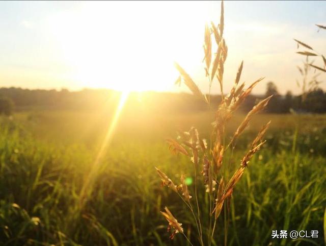 “冬天冷不冷，就看七月十五”，今日七月十五，有何预兆？了解下