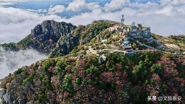看绝美秋色！泰山秋季限定皮肤上新，云上视角简直美翻啦~