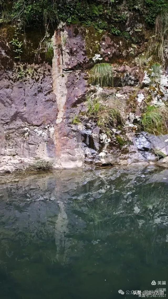 隐藏在温州深山幽谷的绿野仙踪，免费开放，知道的人却极少！