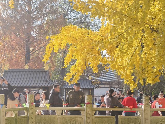 南京老山郊野一日徒步，从狮子岭兜率寺到汤泉惠济寺