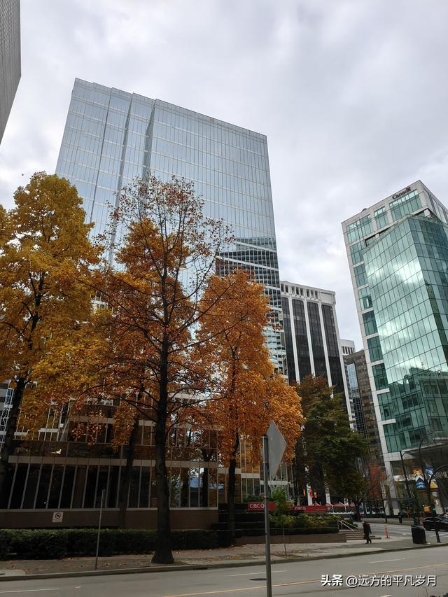 温哥华游记（三）