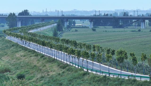 #运城头条#山西运城：黄河一号旅游公路秋色如画