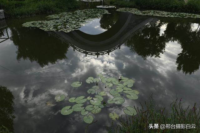 五一桥公园：藏在城市里的江南梦境