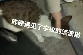 男生模仿电视剧帮女友吸伤口确诊三级暴露，当事人：她被流浪猫抓伤了，千万别学我，舔一下1500元就没了图片
