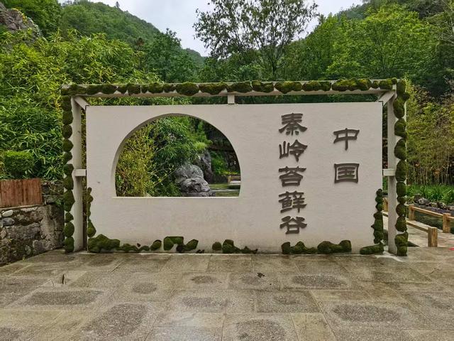 宁陕县：山水清幽苍龙峡