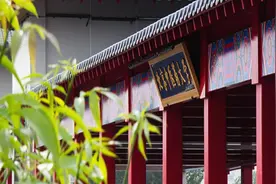 我国中医药大学排名“大调整”，南中医斩获前3，浙中医大位列第5图片