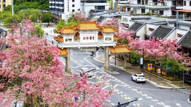 品晚熟荔枝、遛娃放风……广州从化这4条精品旅游线路全搞定!