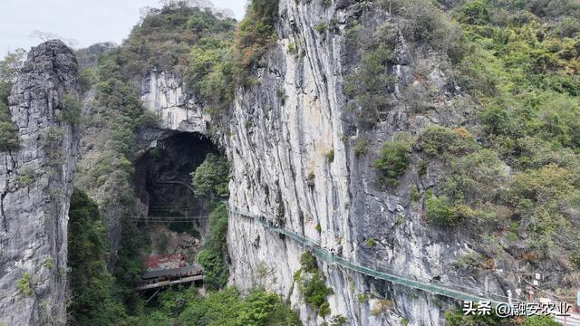 广西融安：秋高气爽引客来