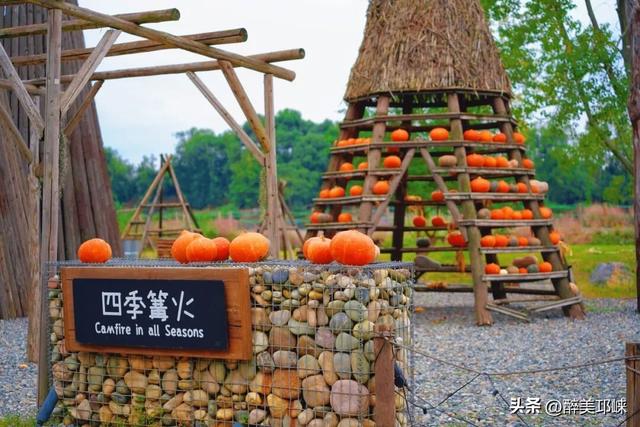 听劝！深秋一定要来邛崃这个“南瓜”露营地，太出片了！