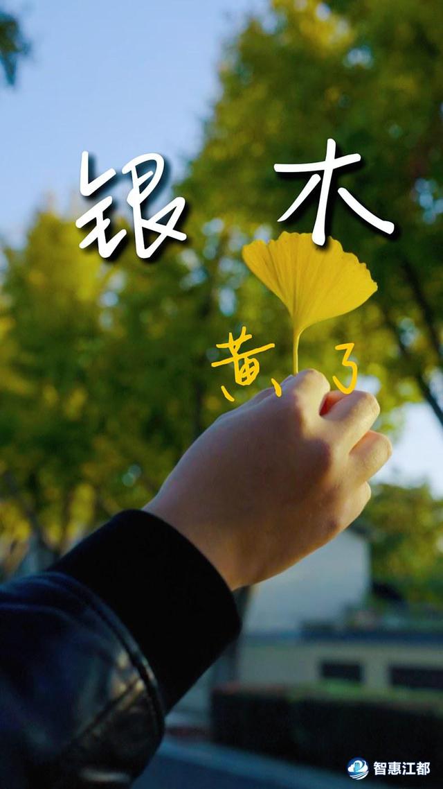 护江河安澜，守人间烟火！江都水利枢纽的冬日诗行