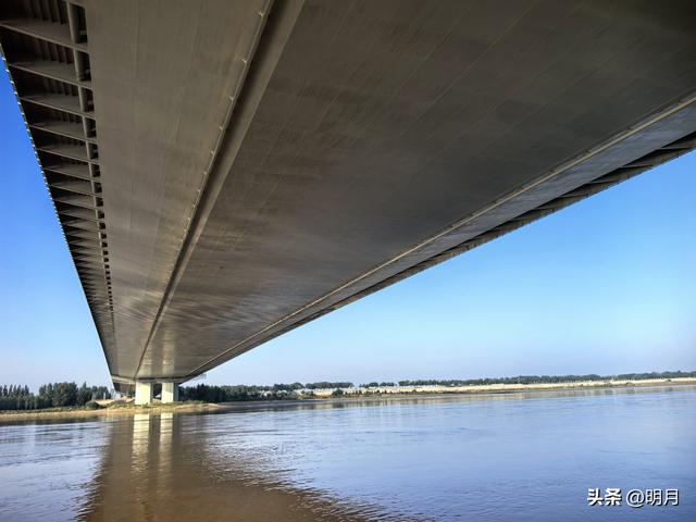 分享你最快捷去黄河千亩银杏林的路线