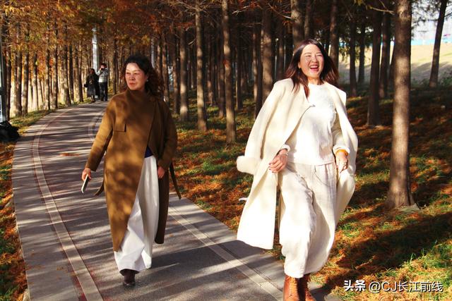 河南淮滨：落羽杉红了，美女们来啦！