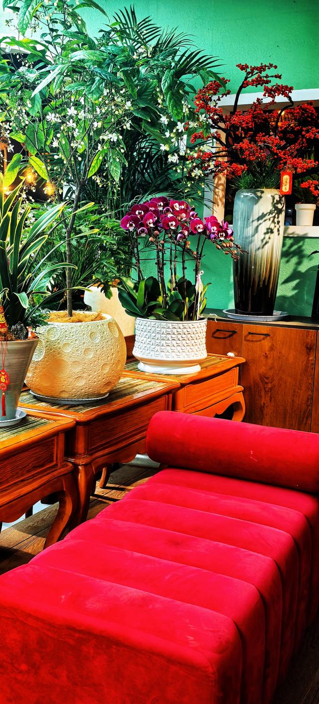 藏在秦岭花世界里的「森系秘境花店——花缘集」，来了就不想走！