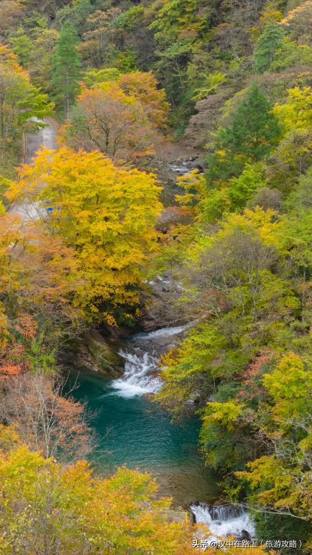 多图实拍！这才是汉中的秋日顶流！