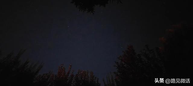 夜幕中的公园