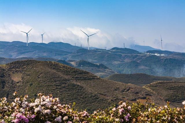 错峰赏花，今年3-5月，去这8个人少的地方，漫山遍野春和景明