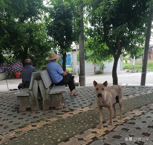 广西南宁市宾阳县半条街小镇，城建不如甘棠镇邓村有保留的必要？
